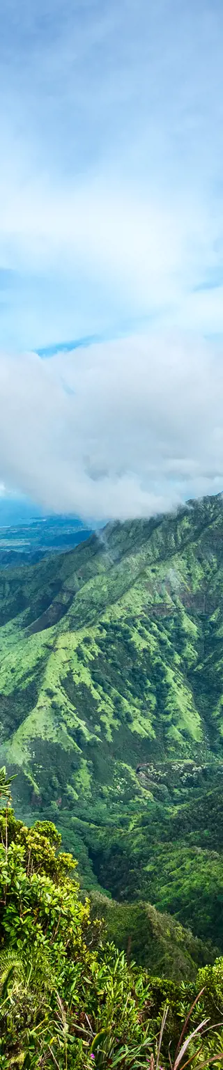Erkunde die Weite des Waimea Canyons zu Fuss